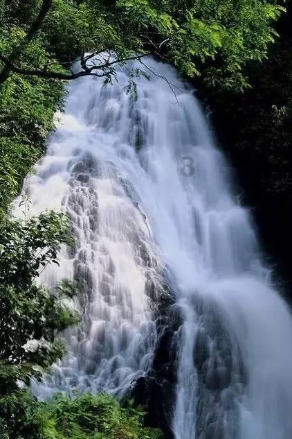沪江开心词场